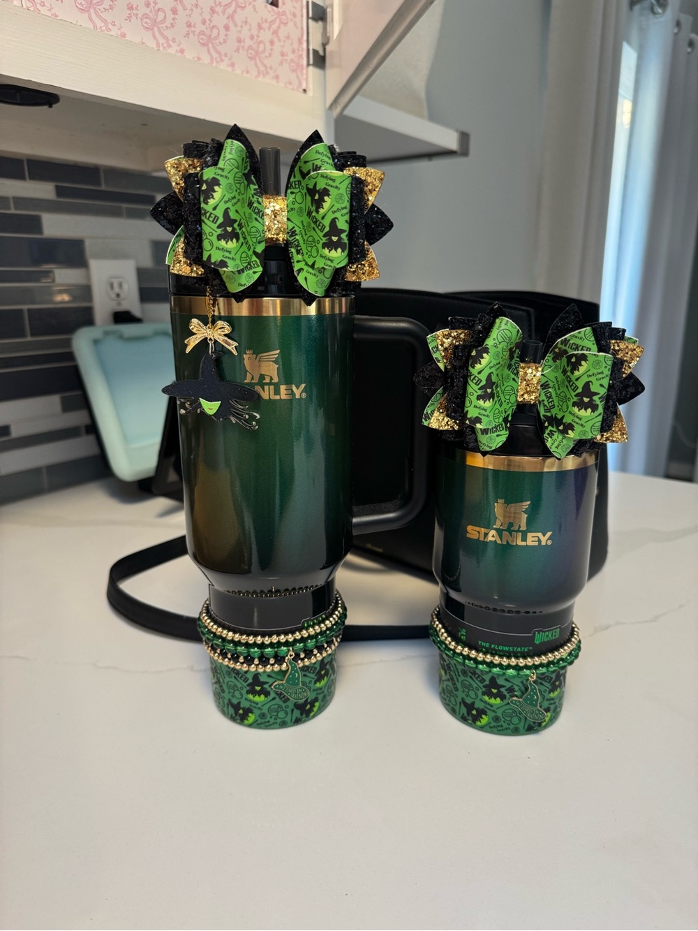 Wicked Elphaba Stanley! 40oz & 20oz